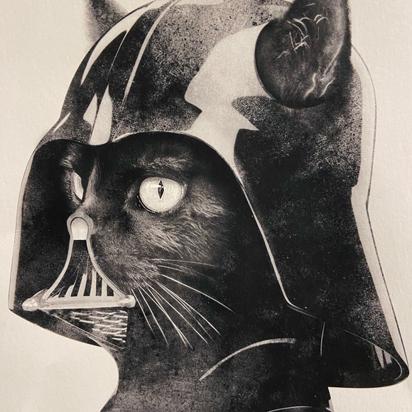 Meet your Posher, Matthew - Picture 1 of 1